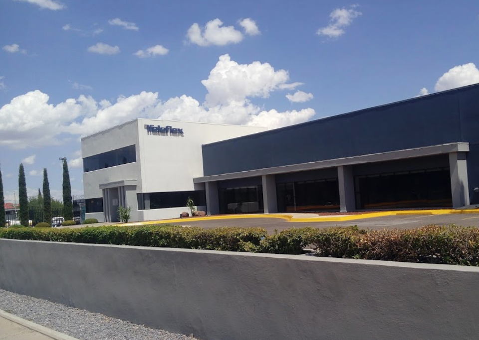 Teleflex Building The Information Platform To Invest in Mexico.